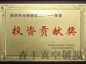 森丰pvd镀膜厂家荣誉-投资贡献奖